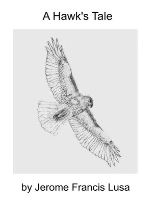 cover image of A Hawk's Tale